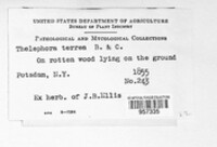 Image Associated With the Occurence